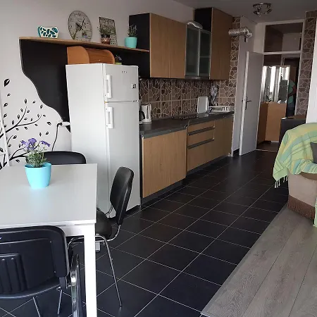 Danube Apartment *